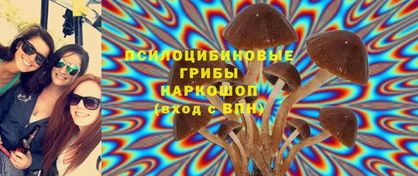 амф Балахна